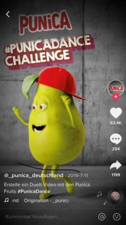 TikTok-Anzeigen im Überblick - Branded Hashtag-Challenge