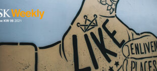 OSK Weekly - Public Affairs im Social Web - Titel