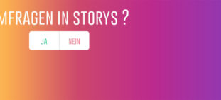 Titelbild - Instagram-Umfragen